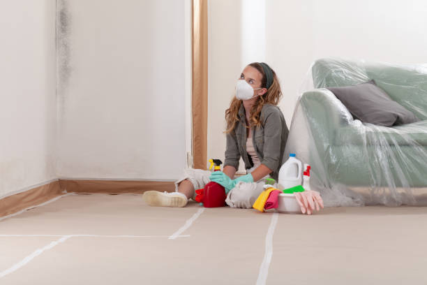 Reliable Mold Removal contractor in Capron, VA by WQB Mold Removal